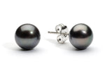 7.0 -8.0 mm AA+ Black Freshwater Pearl Stud Earrings